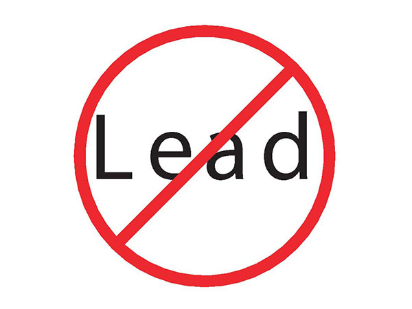 safety zone water lead and mercury removal